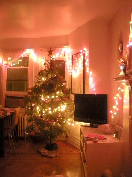 Our Apartment is ready for Xmas