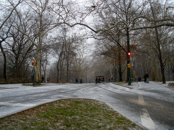 Central Park in the Snow