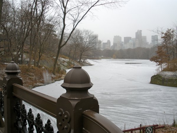 Frozen Central Park Lake 