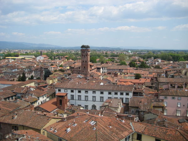 Lucca from the clock tower