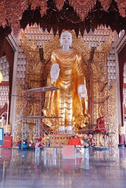 Standing Budha