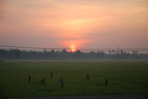 Sunrise and rice fields