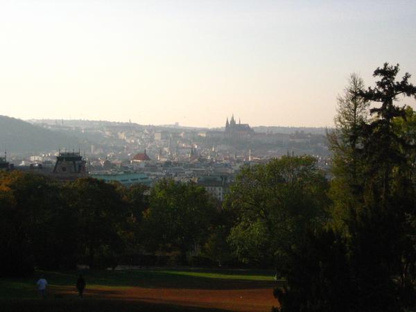 view from the park