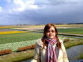 Coloured fields 2
