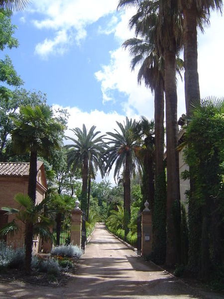 Beautiful garden near Alhambra