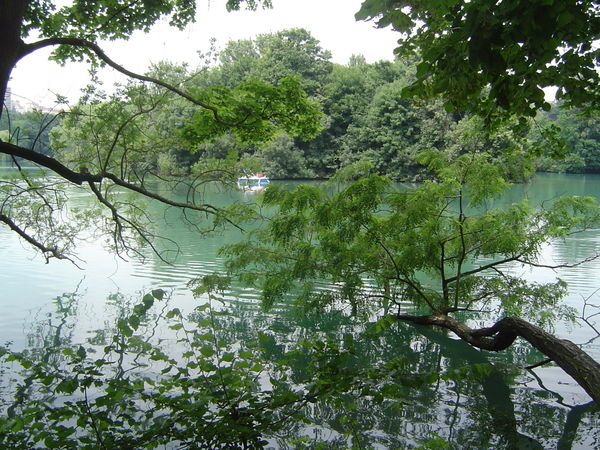 Beautiful lake in the park