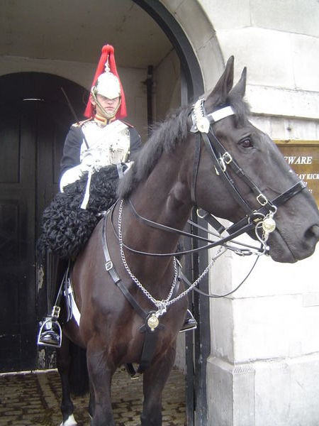 Guards on horses