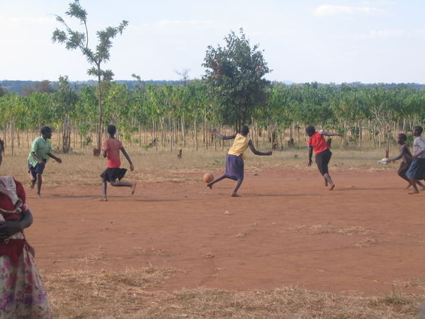Girls playing netball