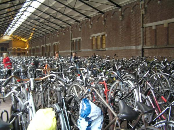 Even more lots and lots and lots of bikes
