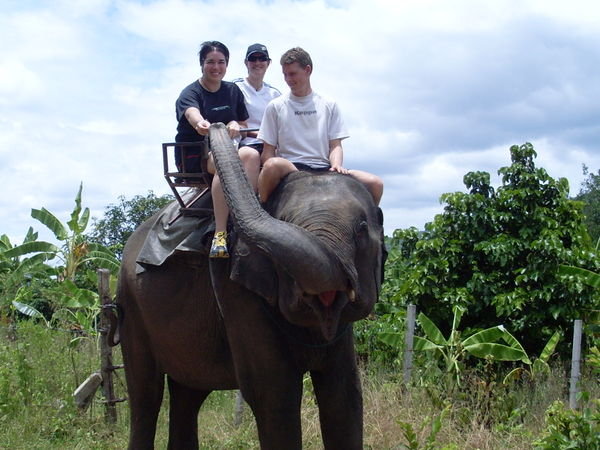 Elephant Trekking- Chiang Mai