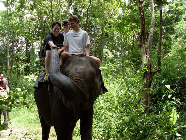 Elephant Trekking 2