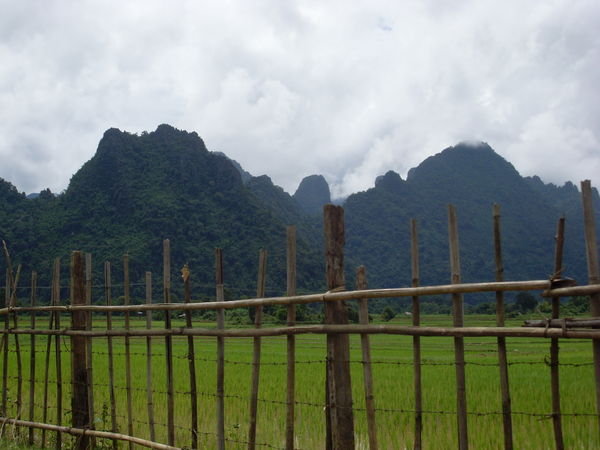 Rice Paddies Vang Vieng