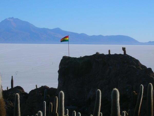Bolivian flag fluttering