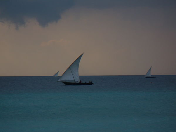 Dhows in the Evening