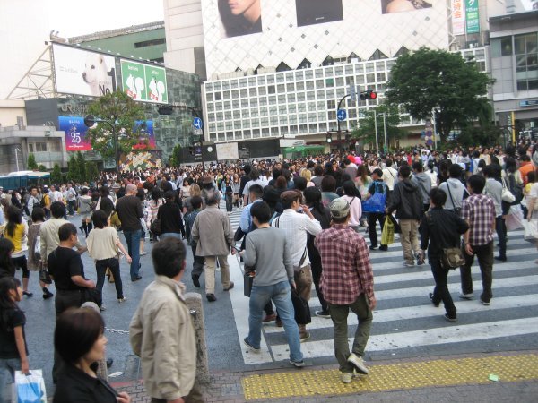 shibuya crossing