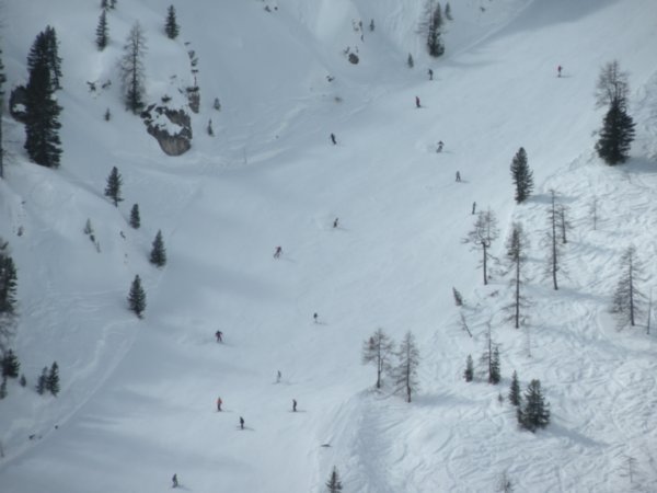 skiers