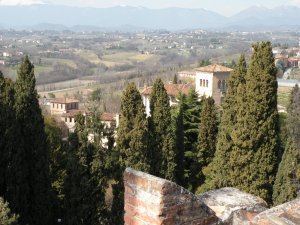 view from castle top 