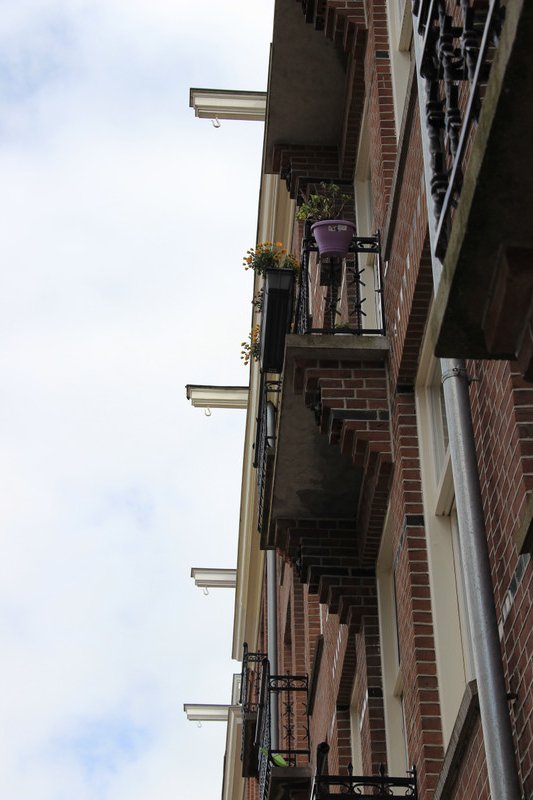 The hooks at the top of houses 