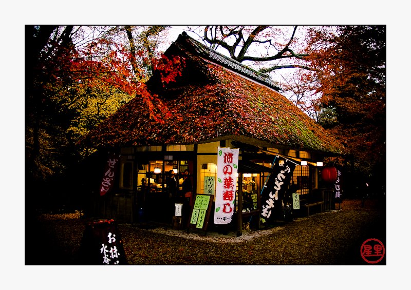Tea house in Nara Park