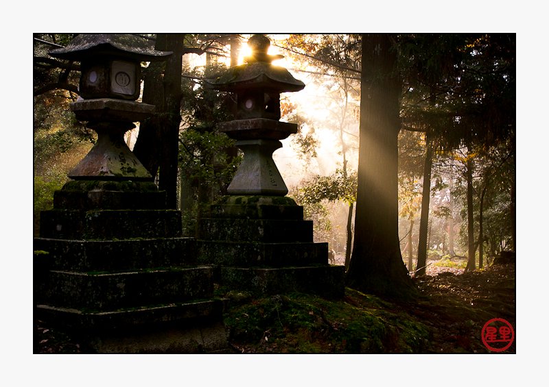 Stone lanterns at the Kasuga-taisha