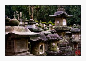 Stone lanterns at the Kasuga-taisha