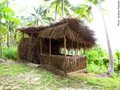 hut - tribal style