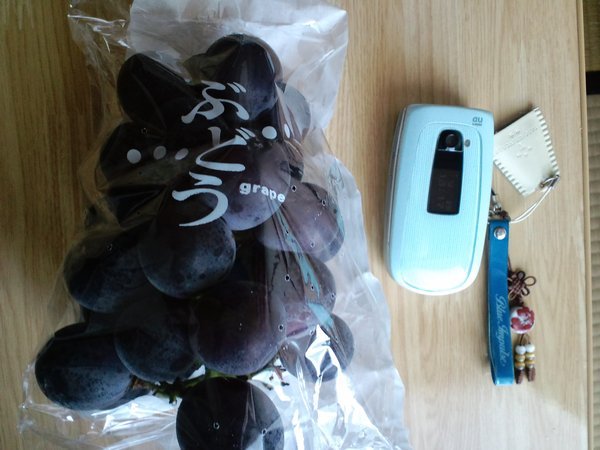 Japanese grapes