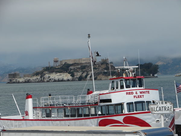 Alcatraz from pier 39