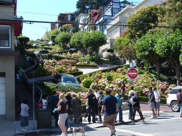 View from top of Lombard Street