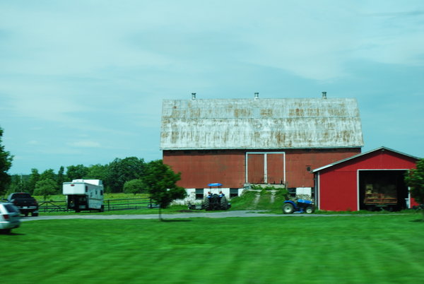 Typical red barns