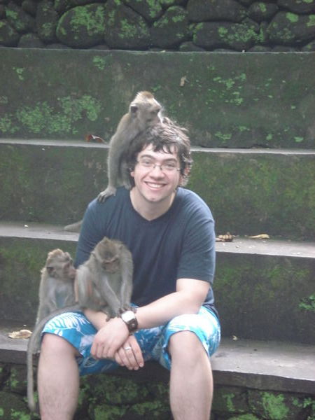 Dave Finally Finds some Monkey Friends