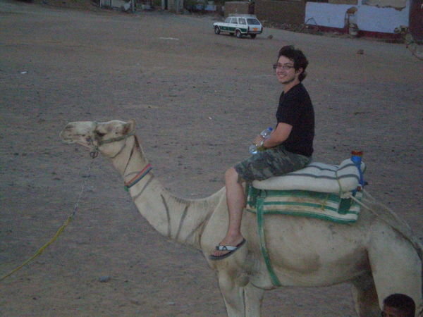 Dave on a camel