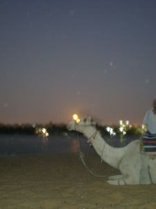 Night on the Sahara