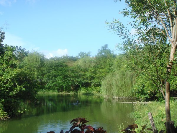 Da'an Park pond