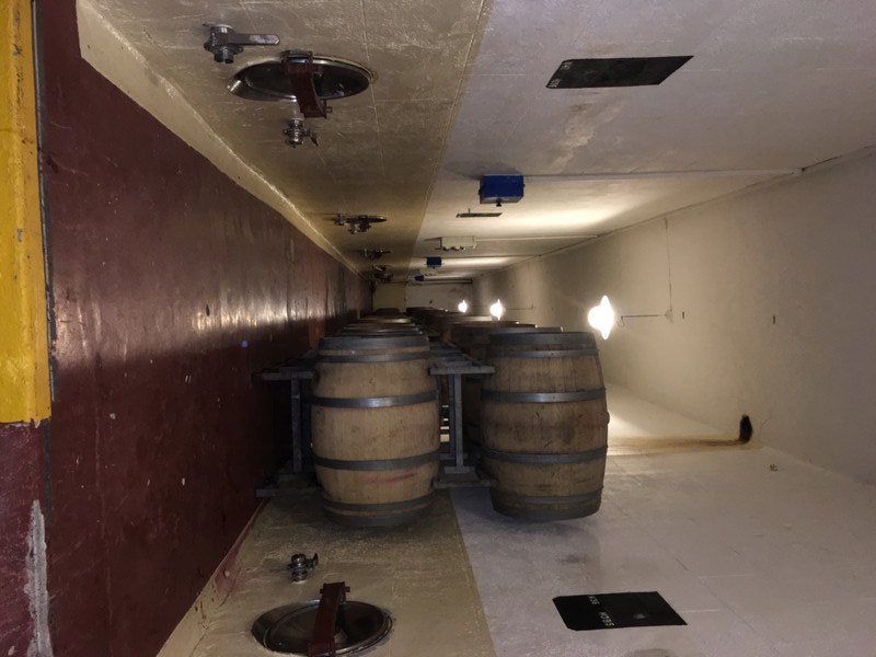 Concrete vats and French oak barrels