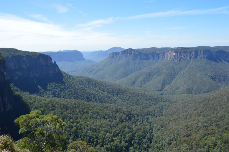 Blue Mountains and Rainforest Canopy