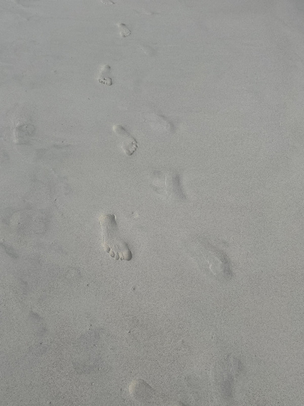 White Sand and Footprints