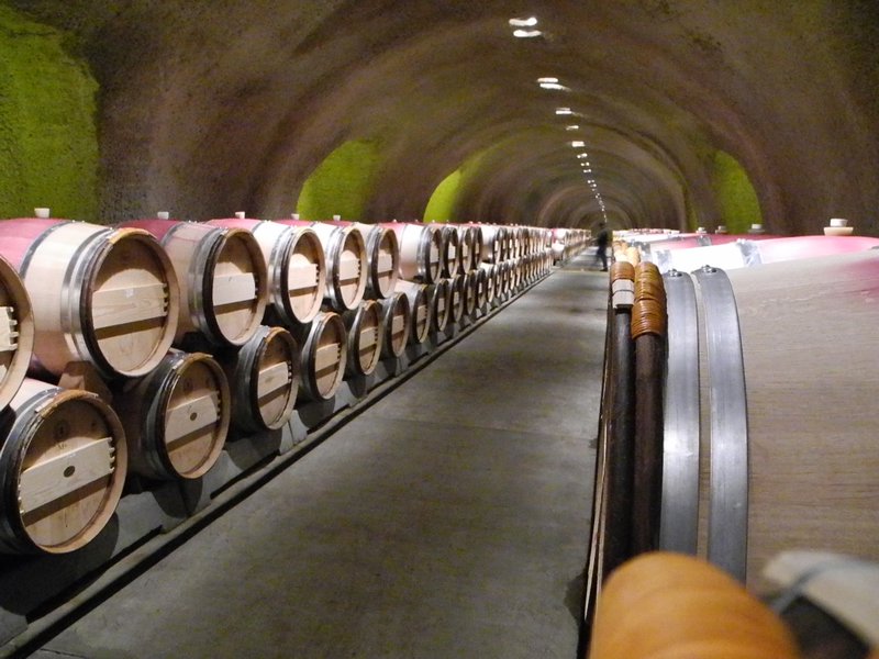 Wine Aging in Barrels