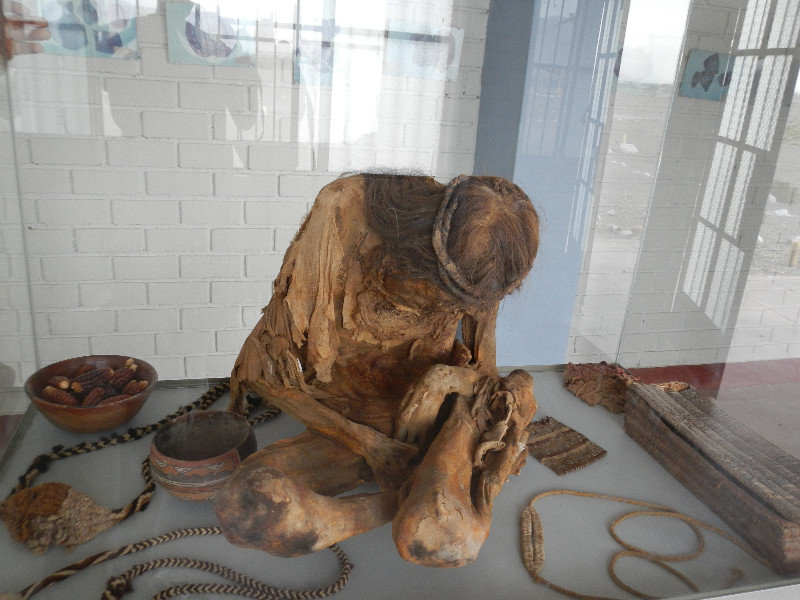 Mummy in the museum