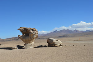 Wind Carved Rocks