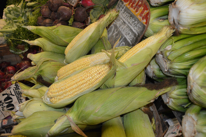 Huge Ears of Corn