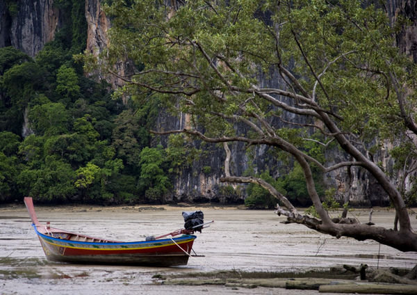 Low Tide - Railay