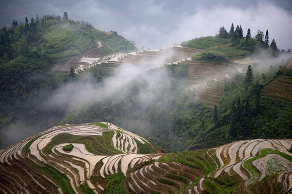 Early morning view of the rice terraces - Ping An