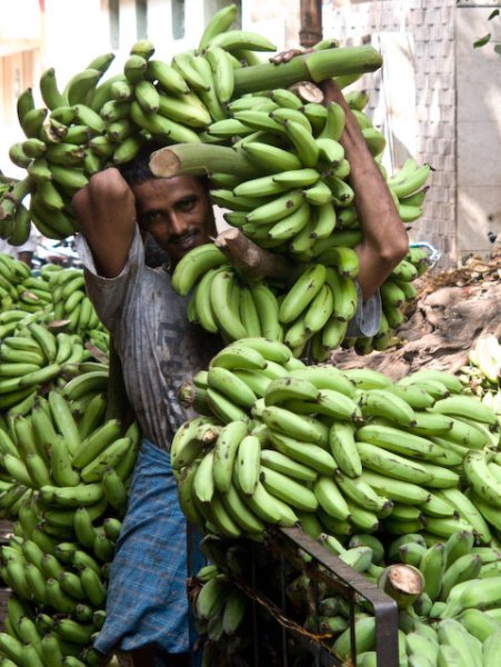 Banana seller