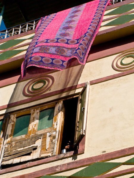 sari in window