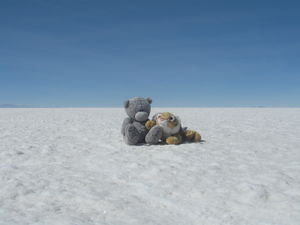 Our tour mascots on the "Salar"
