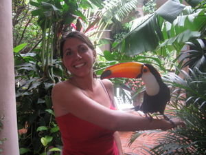Me with the pet toucan at the hostel in Santa Cruz