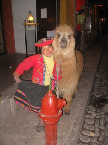 Young girl in typical Peruvian dress working on the streets having her picture taken with the lama