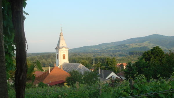 Bodrogkerestúrin kirkko (yksi niistä... olen nähnyt ainakin 3) ja näkymä Tokajn vuorelle