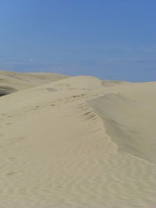 at the top of the sand dunes